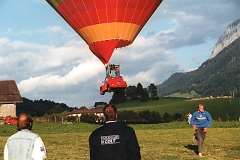 Coccinelle-montgolfiere - Cox Ballon (66)